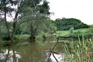 Червонопопівка з panoramio.com