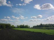 Привільне з panoramio.com