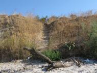 Лугове з panoramio.com