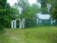 Верба з panoramio.com