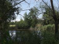 Сущани з panoramio.com