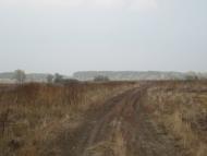 Сизе з panoramio.com