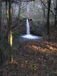 Жупанівка з panoramio.com