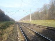 Кривачинці з panoramio.com