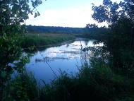 Киріївка з panoramio.com