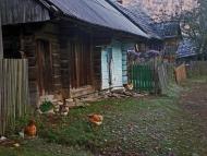 Зубриця з panoramio.com