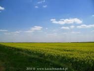 Вільна Україна - Останні фото