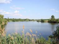 Недайвода з panoramio.com