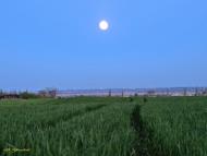 Садове з panoramio.com