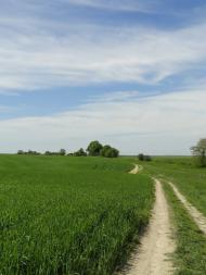 Хорохорин з panoramio.com