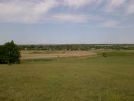 Кузнецове з panoramio.com - Кузнецове