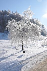 Крехів з panoramio.com