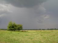 Боромики з panoramio.com