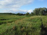 Скригалівка з panoramio.com