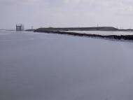 Свистунове з panoramio.com