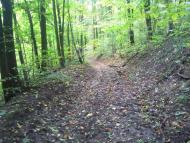 Кияниця з panoramio.com