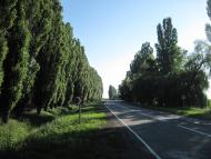 Дудчани з panoramio.com