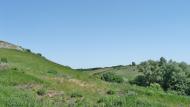 Русько-Орлівка з panoramio.com - Русско-Орловка
