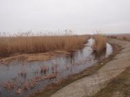 Градениці з panoramio.com