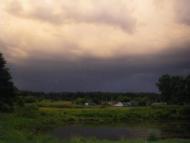 Верба з panoramio.com