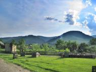 Лопушна з panoramio.com