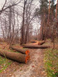 Кримка з panoramio.com