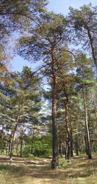 Соцзмагання з panoramio.com