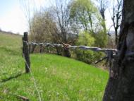 Надорожнів з panoramio.com