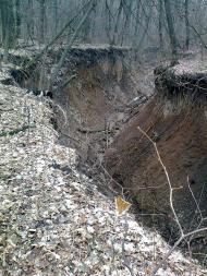 Тарасівка - Останні фото