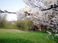 Клин з panoramio.com