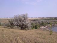 Доманівка з panoramio.com - Доманевка