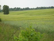 Половинники з panoramio.com