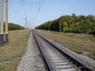 Смородине з panoramio.com