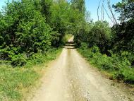 Садовий з panoramio.com