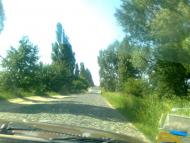 Тайкури з panoramio.com