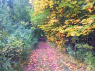 Кияниця з panoramio.com