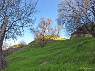 Садове з panoramio.com