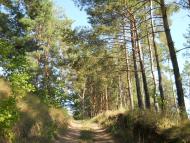 Кошляки з panoramio.com