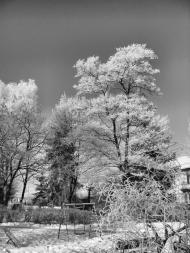 Гірник з panoramio.com