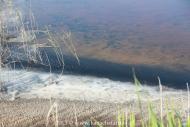 Приморськ з panoramio.com - Приморск