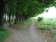 Кулиничі з panoramio.com - Кулиничі