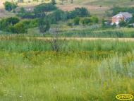 Райське з panoramio.com