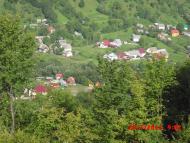 Вільхівчик - Останні фото