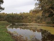 Баранівка з panoramio.com