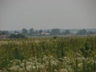 Малійки з panoramio.com