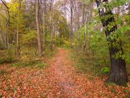 Будище з panoramio.com