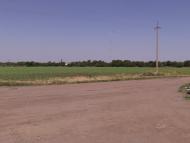 Чаплине з panoramio.com