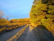 Сизе з panoramio.com