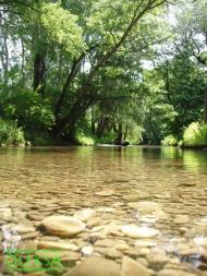 Новеньке з panoramio.com