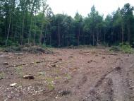 Карпівці з panoramio.com